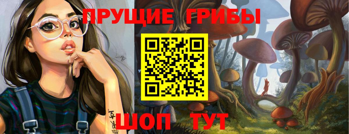 Калач-на-Дону  Галлюциногенные грибы Psilocybe  Вход с VPN 